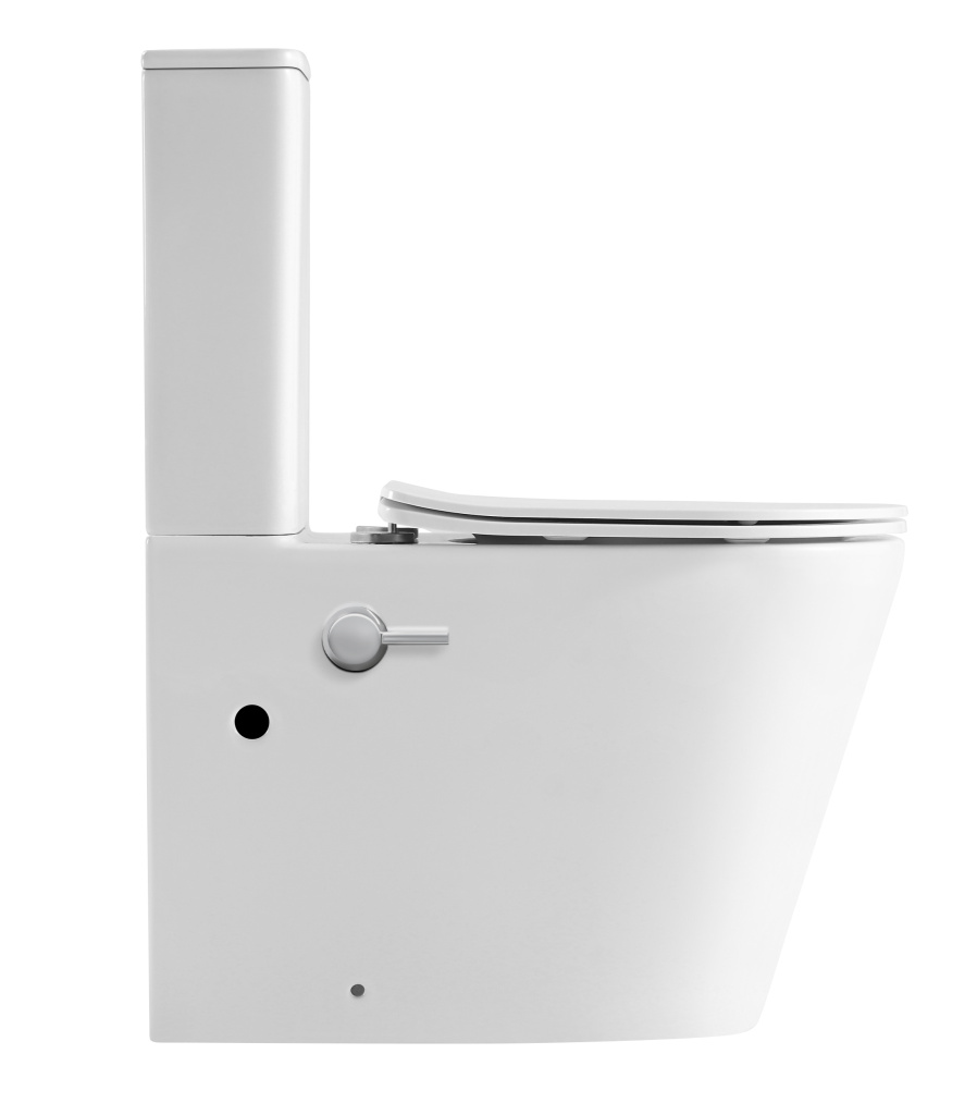 Унитаз-компакт IBERICA BLANCA BURGOS MAXI BIDE Tornado с функцией биде, белый (IB.BRM.124.1B1B)